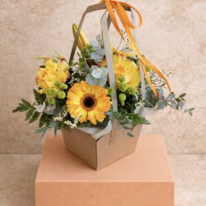 Alternative view of BOX ARRANGEMENT