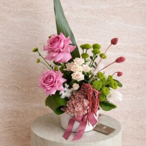 Alternative view of HAT BOX ARRANGEMENT