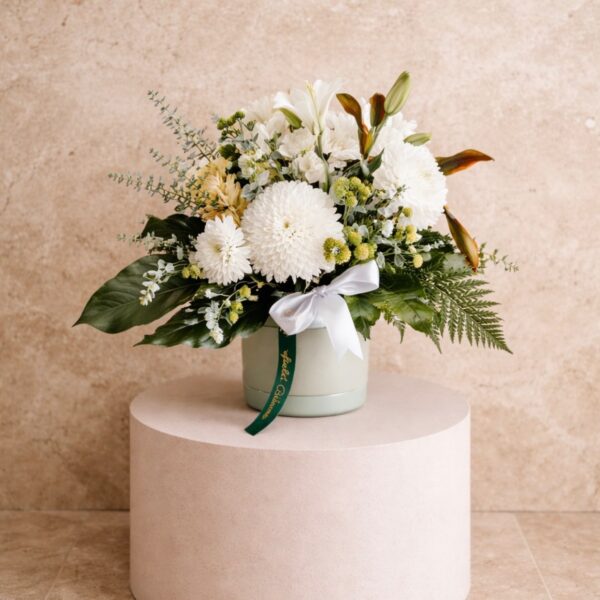 HB (Hat Box) Classic White